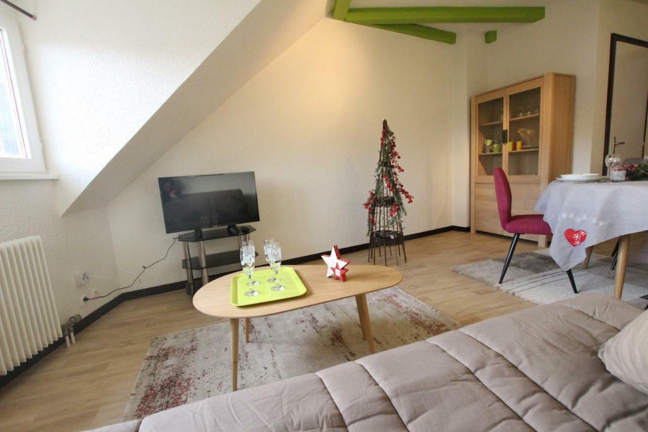 Colmar Historic Center - Cosy Appartement Turenne 2 - Bookingalsace Bagian luar foto